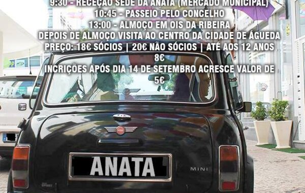 20707881_1669582633053263_1772107767_n