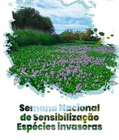 cartas_semana_web_v3