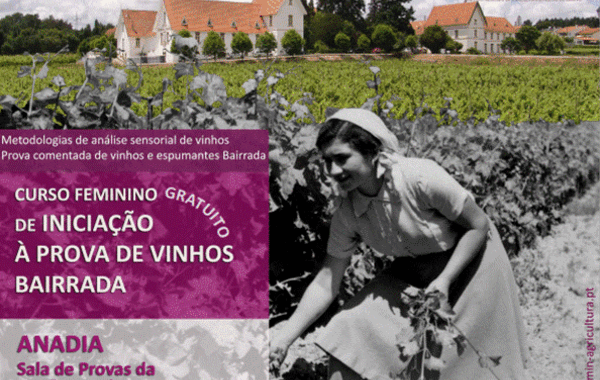 20130201131424136775