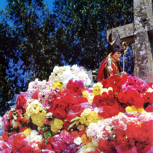 Festa de São Geraldo (Bolfiar)