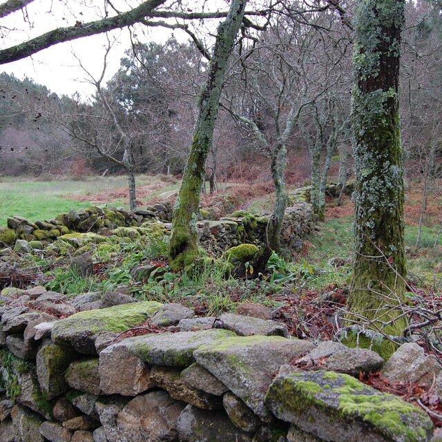 Figura_6___Pormenor_do_Trilho___PR4