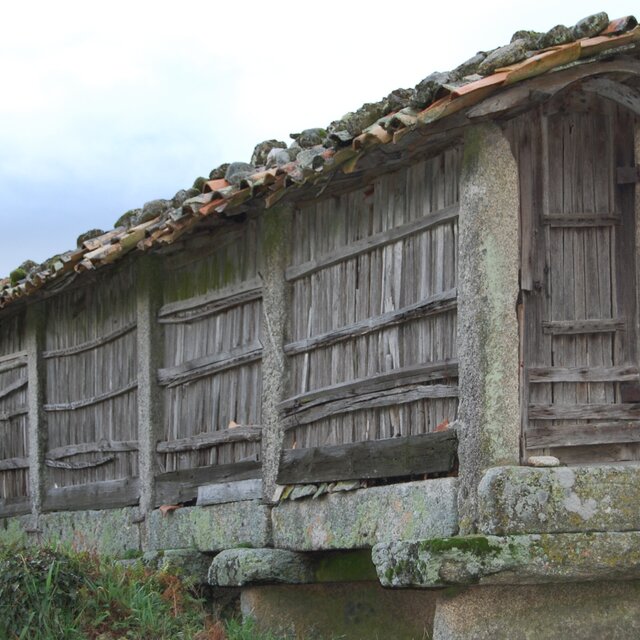 Figura_11___Canastro_em_Macieira_de_Alco_ba