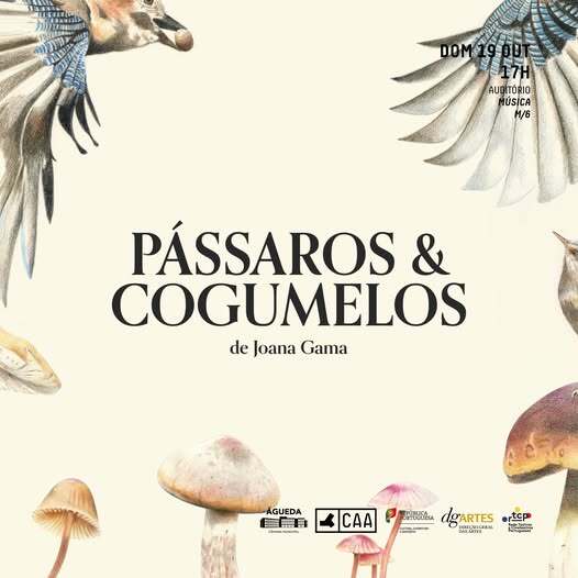 Música | PÁSSAROS & COGUMELOS – 𝘥𝘦 𝘑𝘰𝘢𝘯𝘢 𝘎𝘢𝘮𝘢