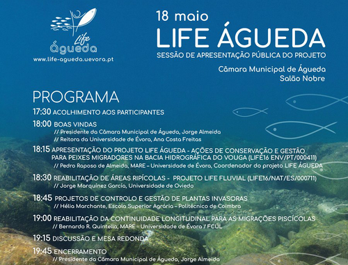 Life agueda 2 1 500 440