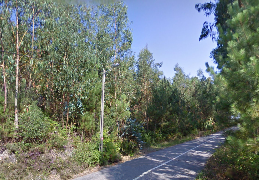 Câmara aposta na melhoria da qualidade de iluminação pública