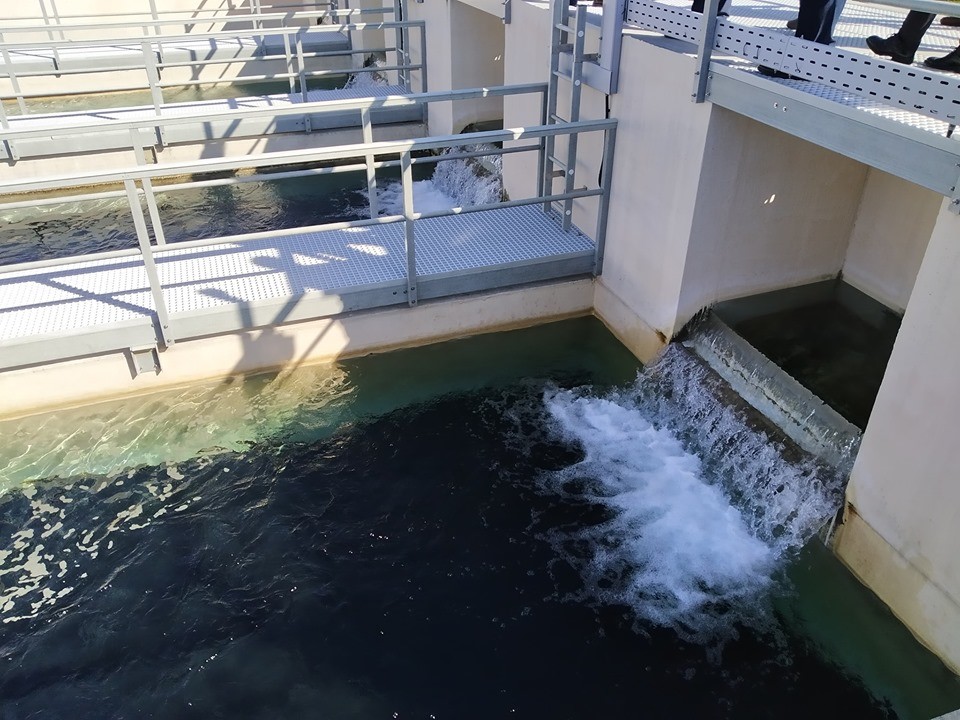 72607026_2452308974864394_5638429041804443648_n