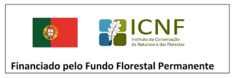 apoio-vespasasiaticas