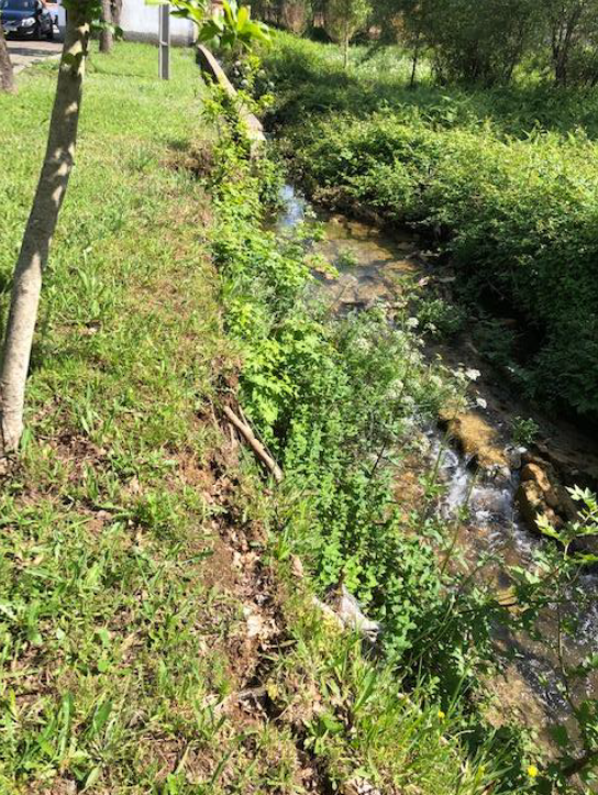 116253017_606850896499485_3463835583648014415_n