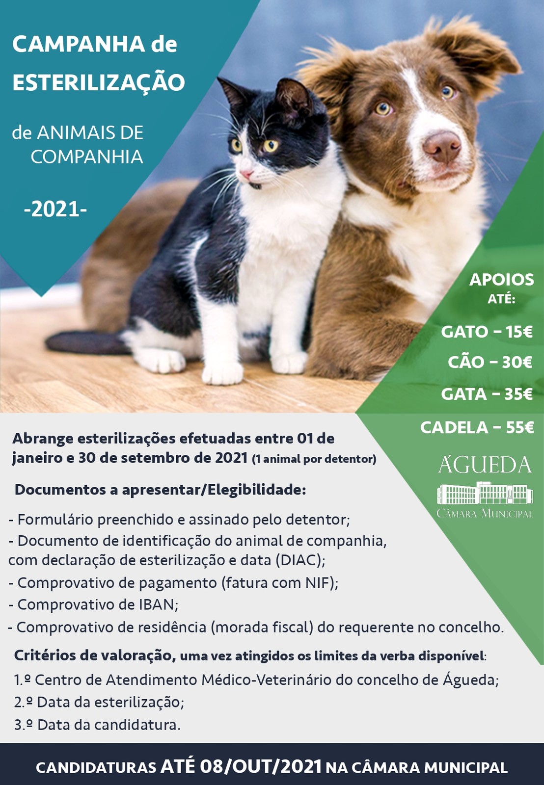 flyer_campanha esterilização_page-0001-2