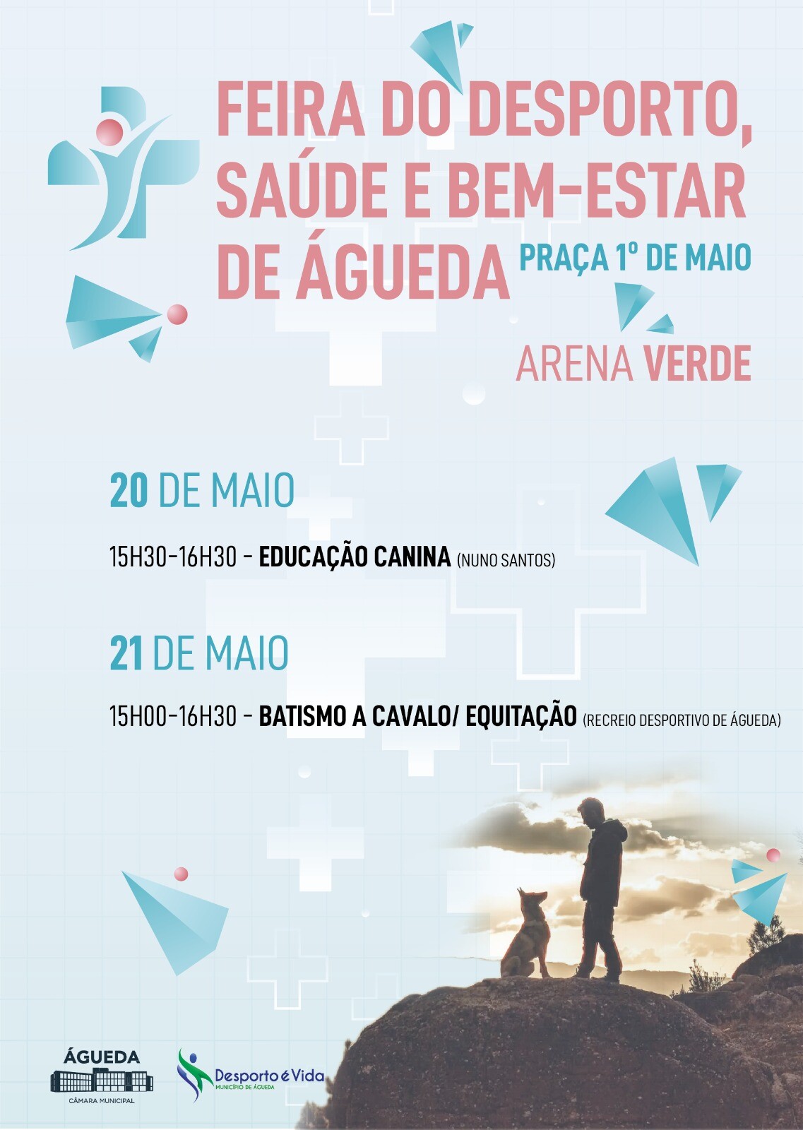 educa&ccedil;&atilde;o_canina