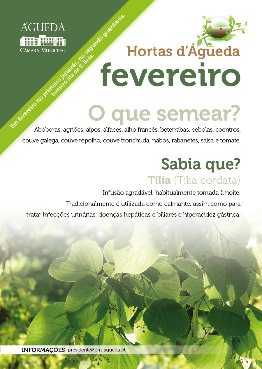 O que plantar em fevereiro