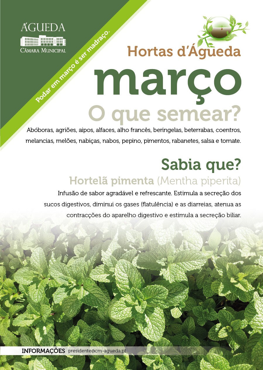 O que plantar em mar&ccedil;o